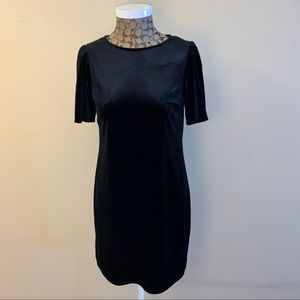 NWT Little Black Velour Dress US Size 6